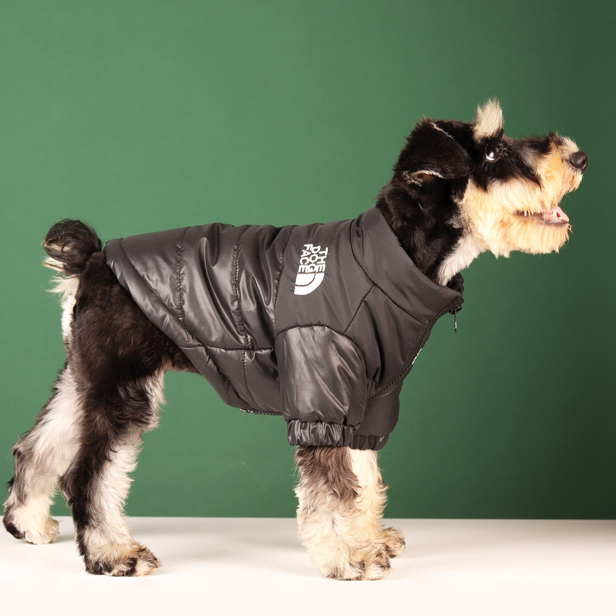 Dog Puffer Jacket