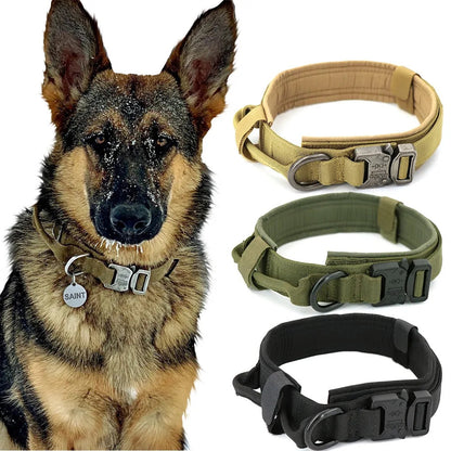 Military Dog Collar